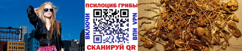 мега вход  Любань  Псилоцибиновые грибы мицелий 